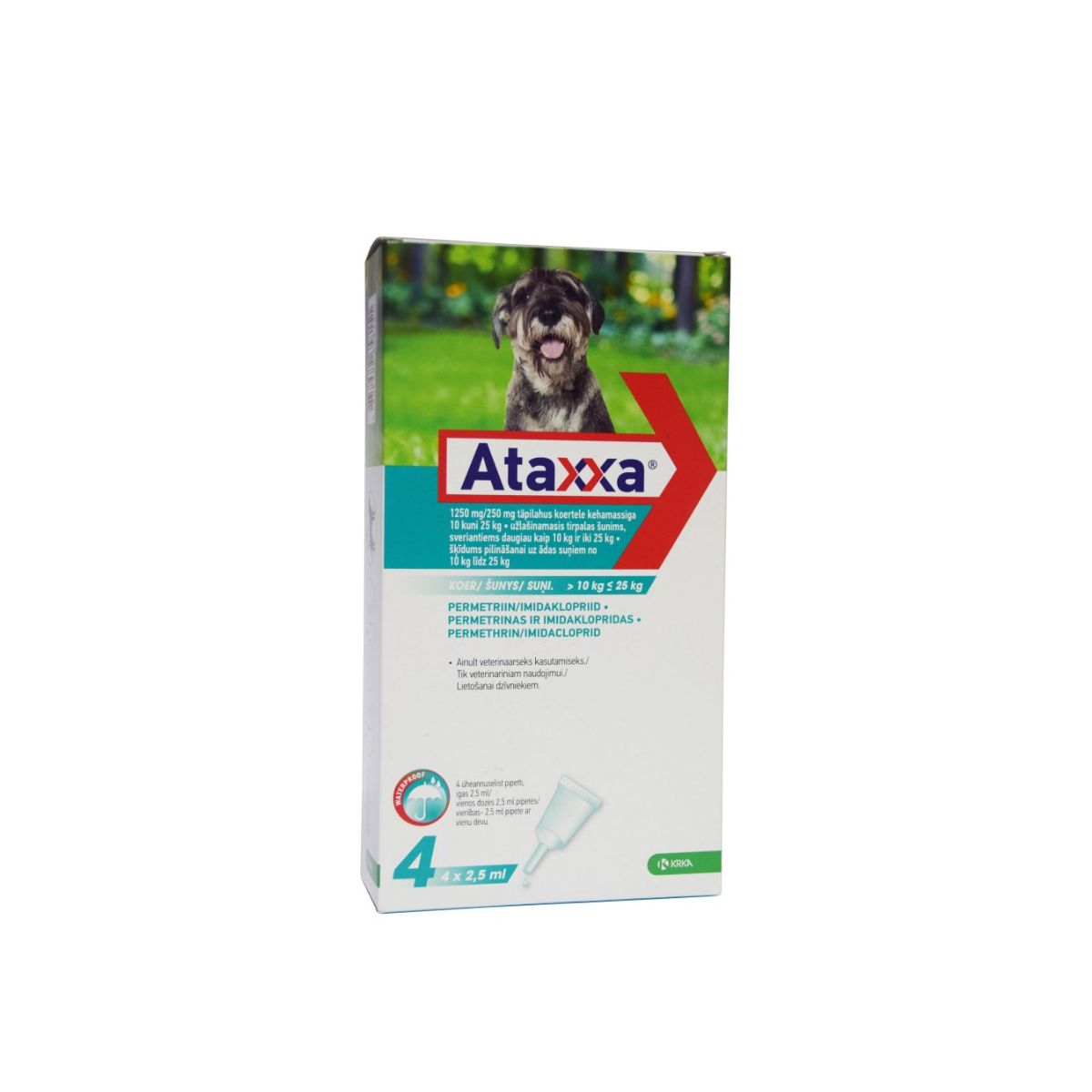 ATAXXA TÄPILAHUS 1250MG+250MG/2,5ML N4