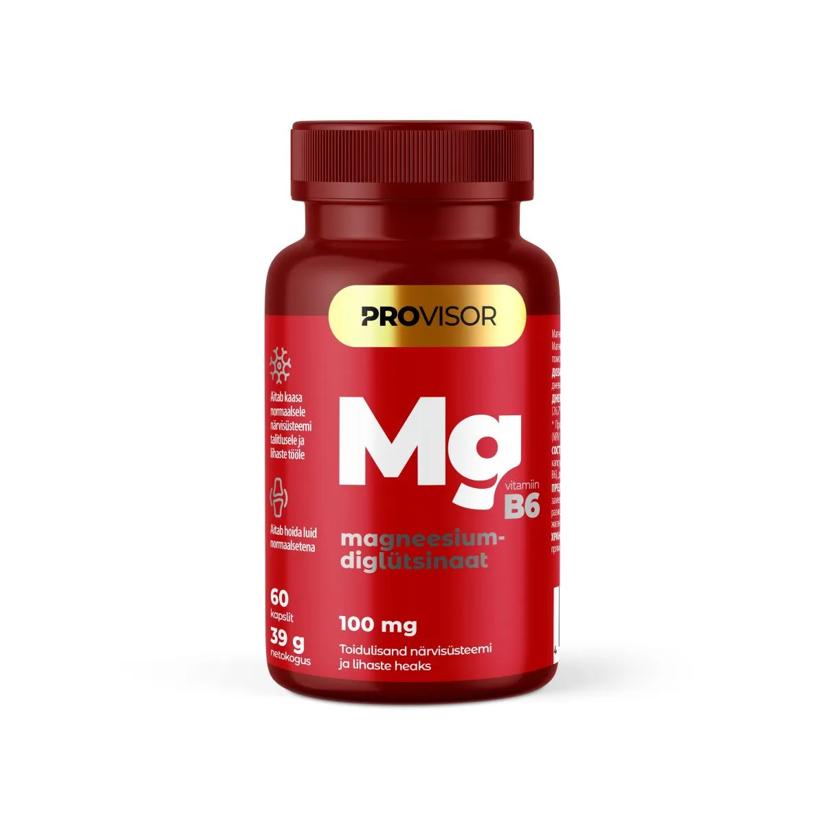 PROVISOR MAGNEESIUMDIGLÜTSINAAT 100MG N60 - Product Image