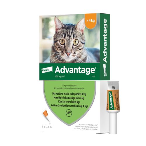ADVANTAGE TÄPILAHUS 100MG/ML 0,4ML N4 (KASSILE)