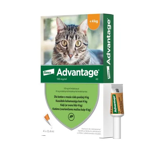 ADVANTAGE TÄPILAHUS 100MG/ML 0,4ML N4 (KASSILE)