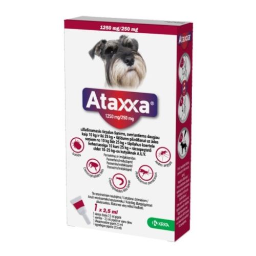 ATAXXA TÄPILAHUS 1250MG+250MG/2,5ML N1